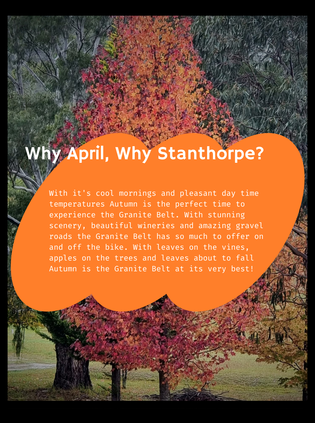 Girls Go Gravel - Granite Belt